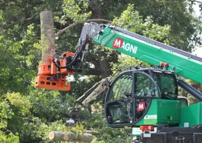 Elagage, abattage et travaux forestier au Pays Basque - Landes