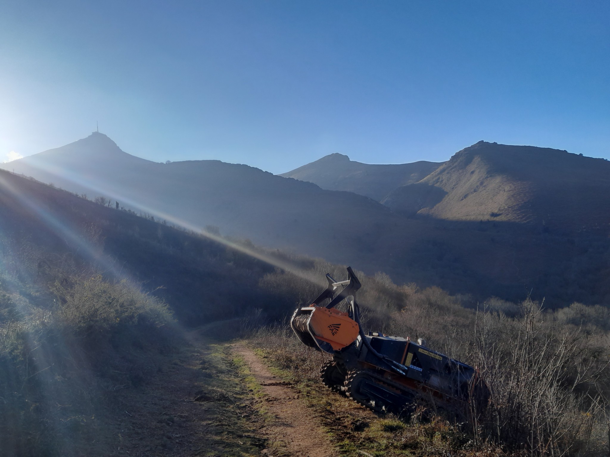 Aménagement extérieur Pays Basque & Landes Travaux forestiers Pays Basque