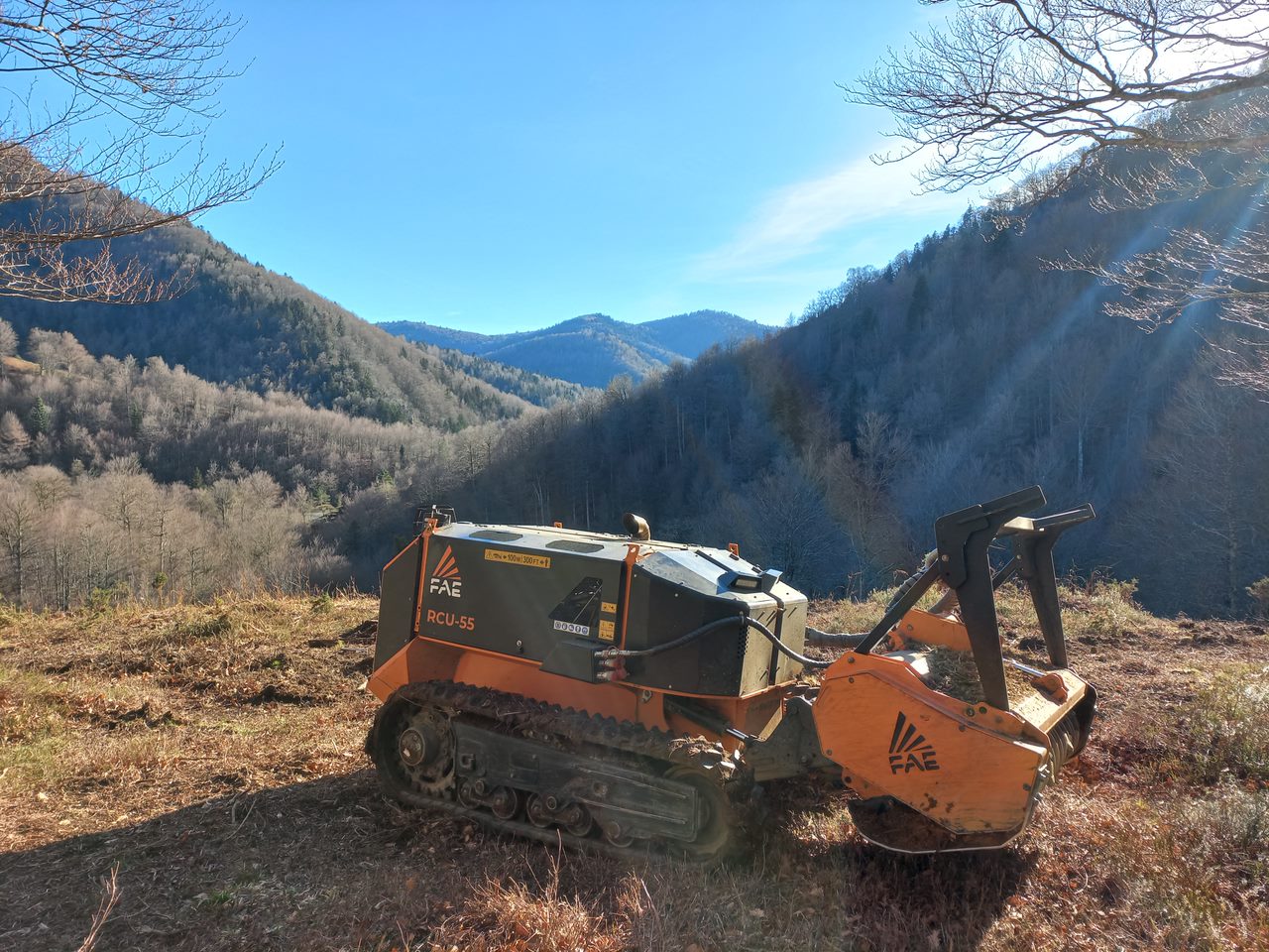 Débroussaillage Pays Basque & Landes Débroussaillage Pays Basque