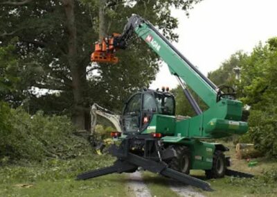 Elagage, abattage et travaux forestier au Pays Basque - Landes