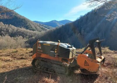 Elagage, abattage et travaux forestier au Pays Basque - Landes