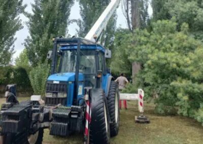 Elagage, abattage et travaux forestier au Pays Basque - Landes