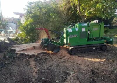 Rognage de souche au Pays Basque