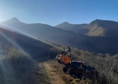 Elagage, abattage et travaux forestier au Pays Basque - Landes