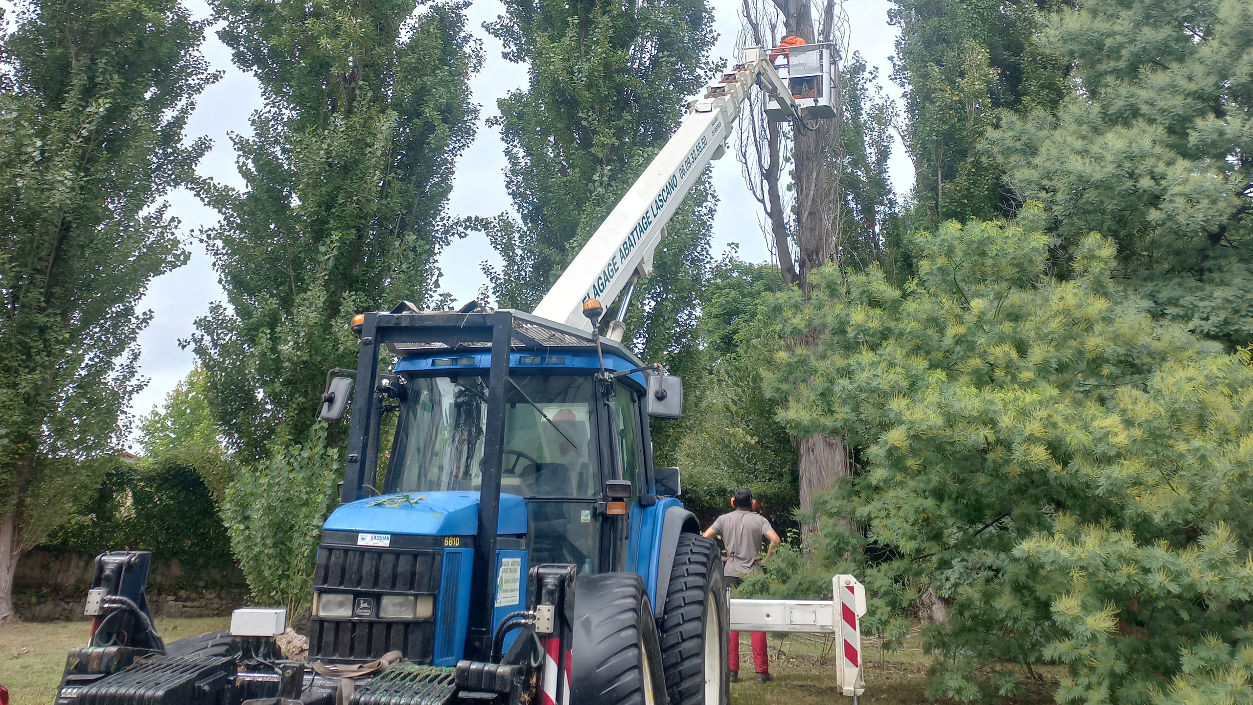 Elagage Pays Basque & Landes Elagage au Pays Basque